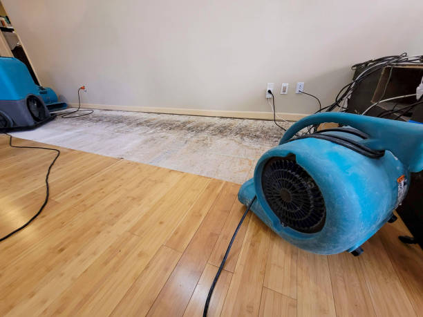Professional Flood Damage Cleanup technician working in Hockley, TX